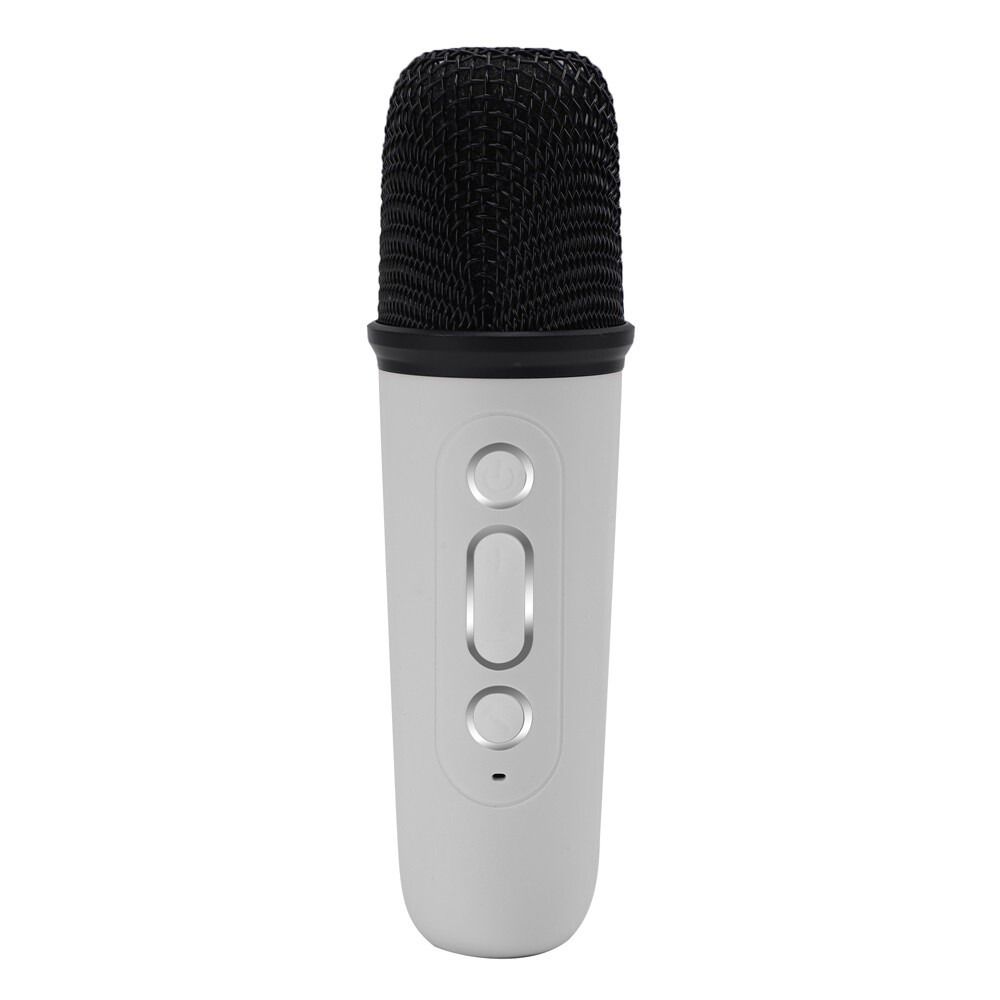 Portable White Bluetooth Karaoke Speaker Machine Kids Mics
