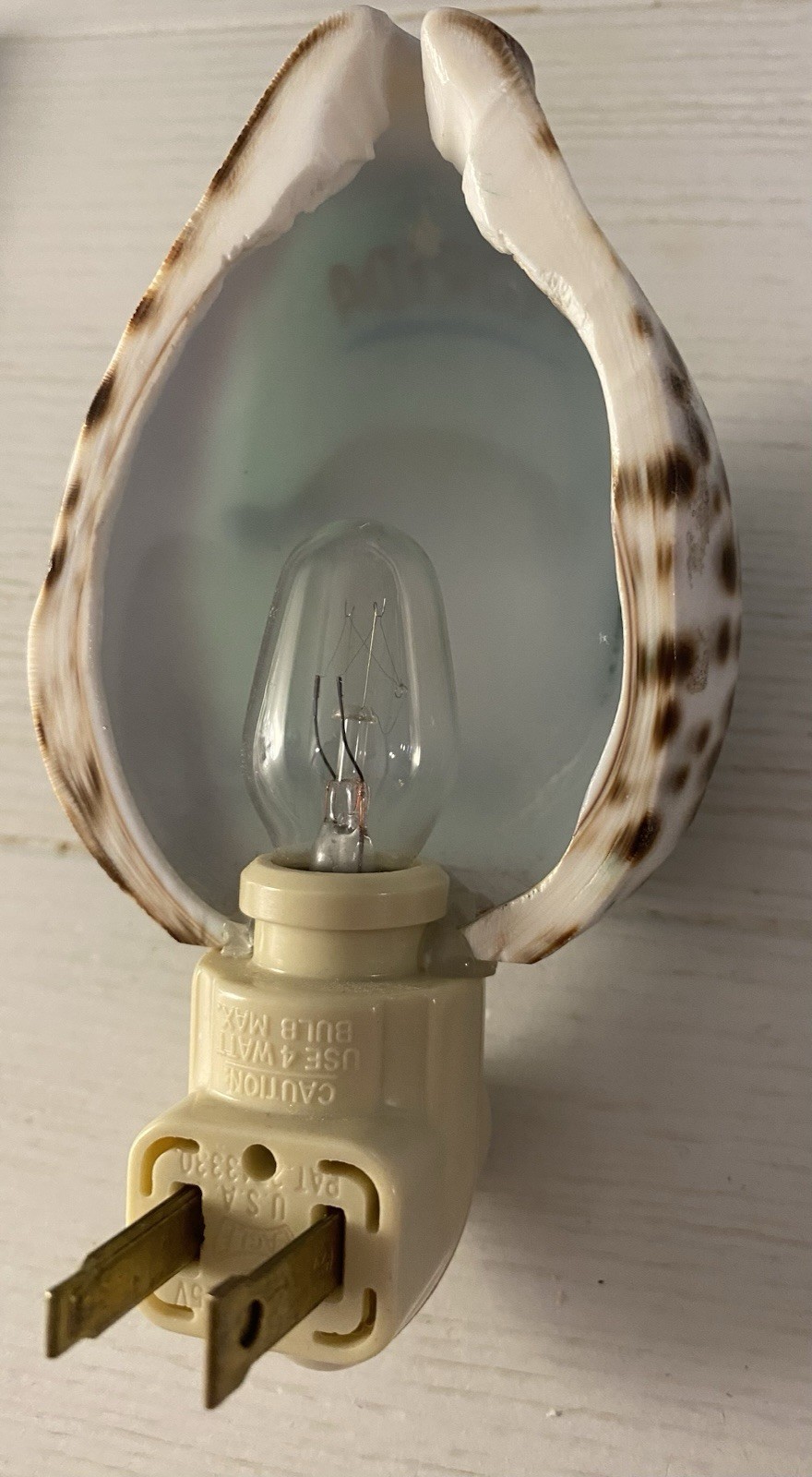 Handpainted Cowrie Shell Night Light Florida Manatees