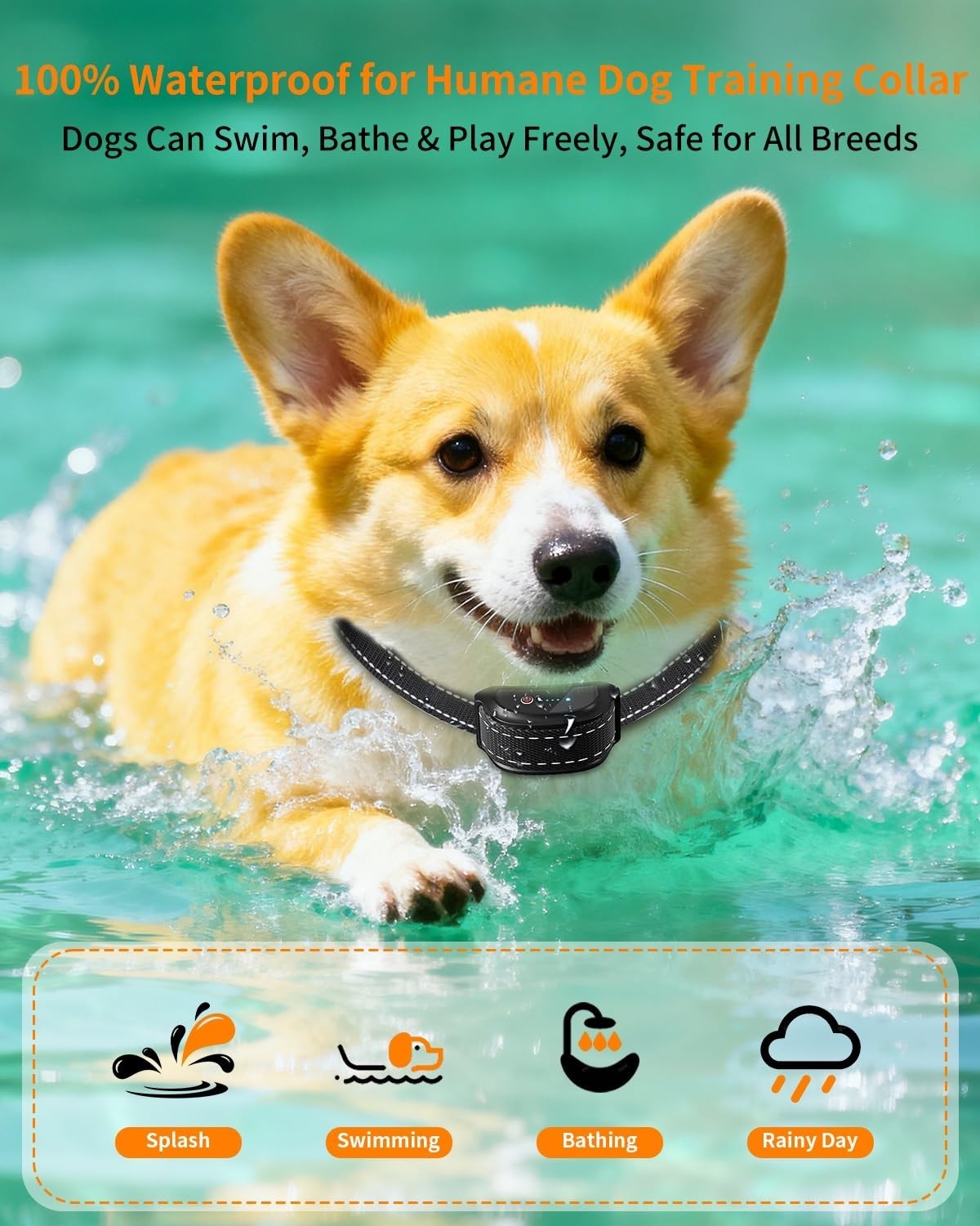Rechargeable Dog Shock Collar with Remote – 2000FT Range, Waterproof, 4 Training