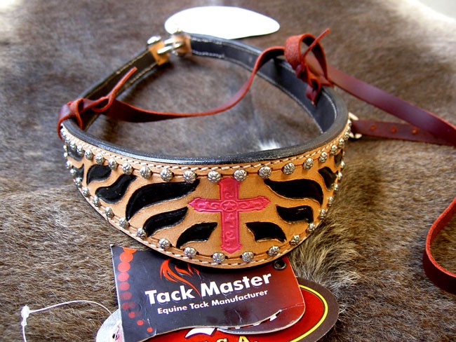 Horse Show Bridle Western Leather Rodeo NoseBand  9993
