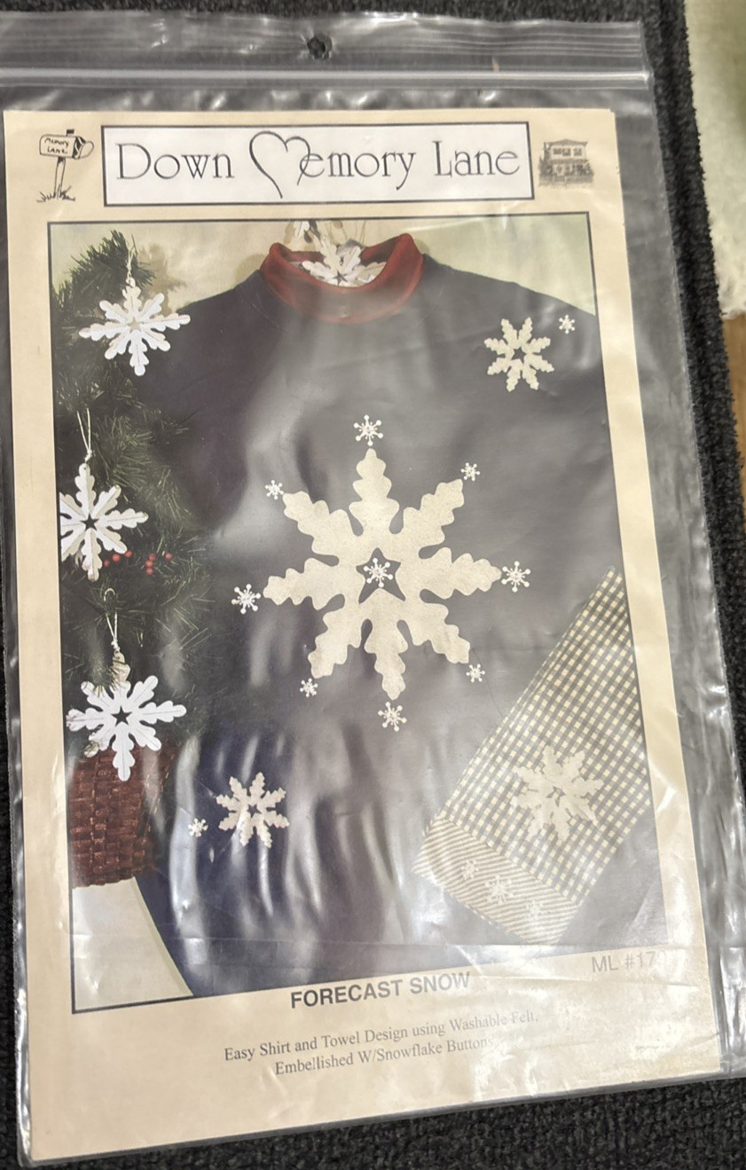 Vtg Rare Down Memory Lane FORECAST SNOW Applique Pattern ML #179