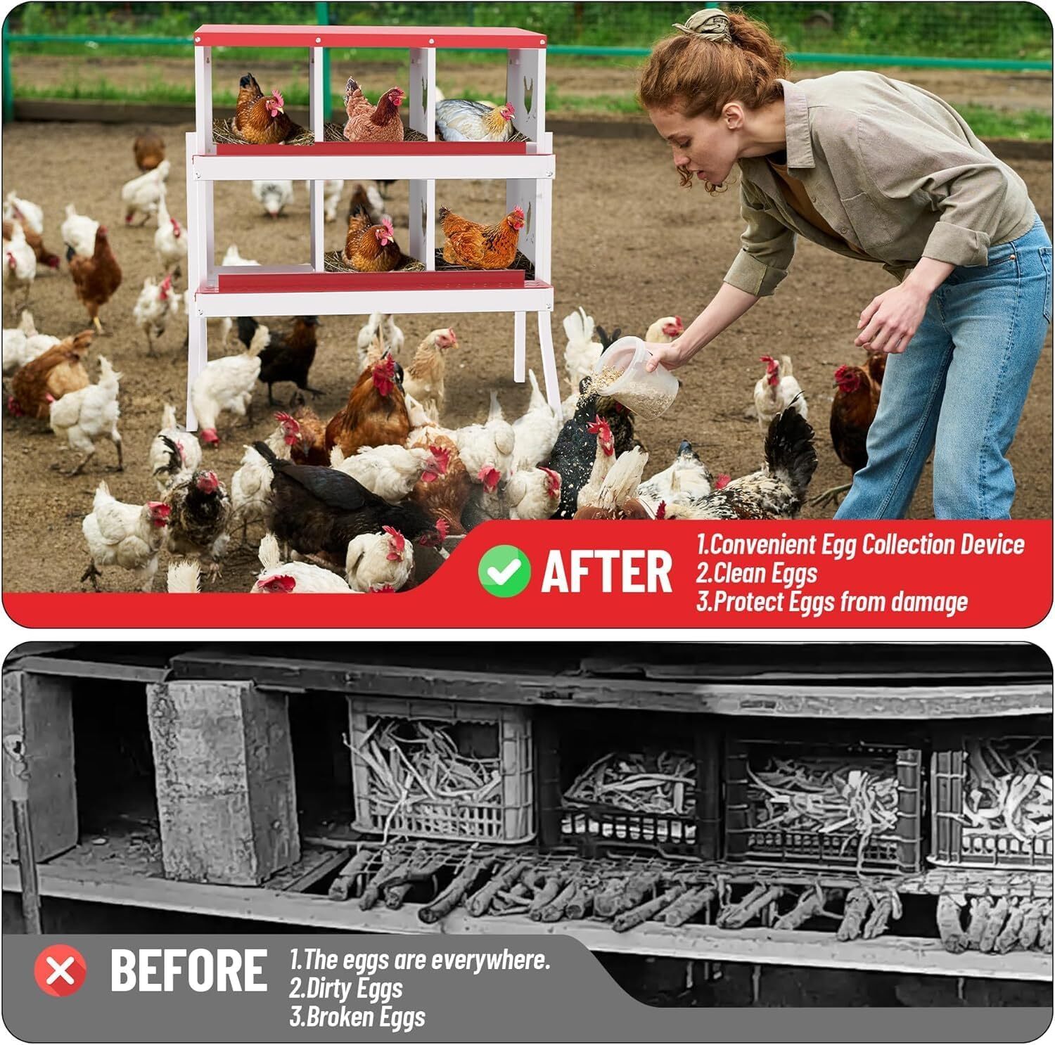 Chicken Nesting Box 6-10 Holes Cleanable, Pull Out Roll Away Metal Nesting Boxes
