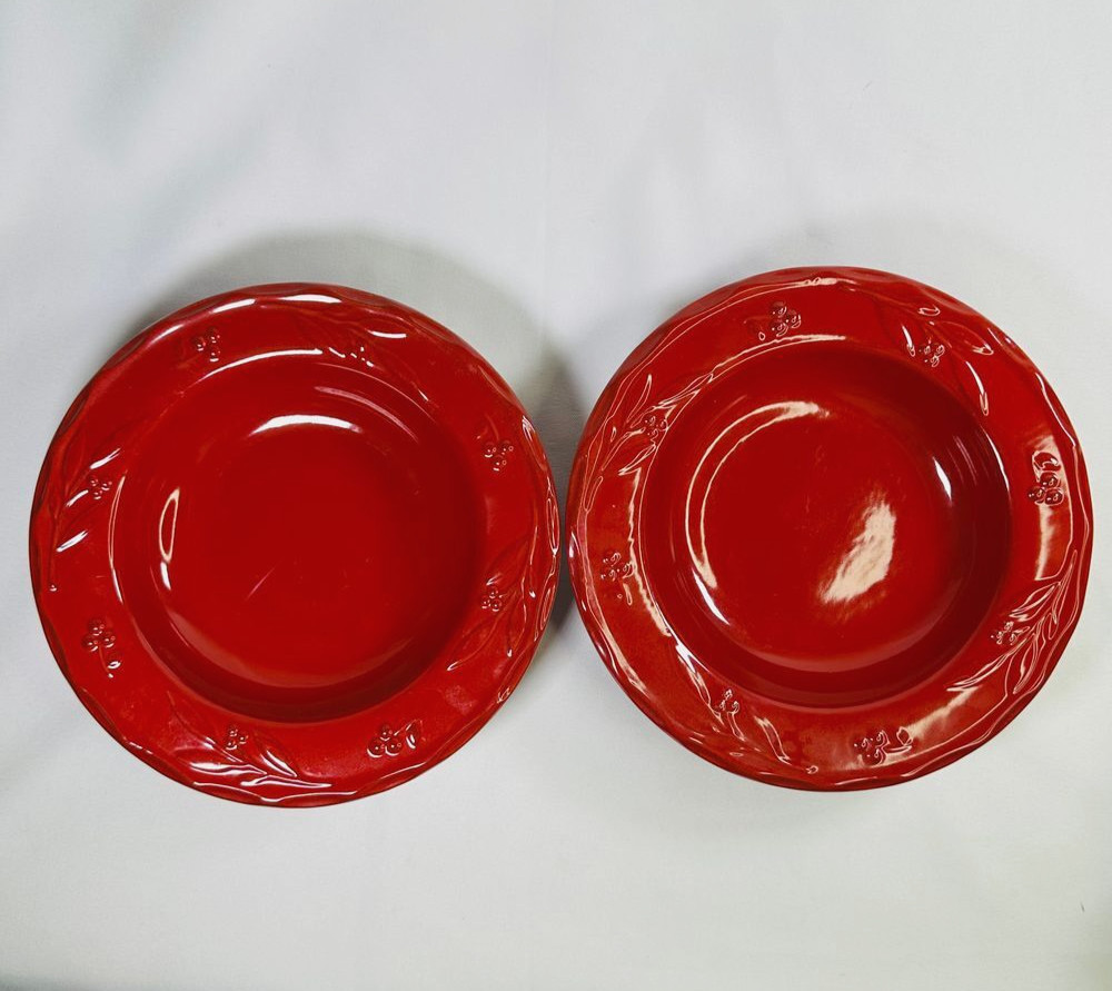 Swiss Colony Occasions Red Berry Stoneware Set of 2 Soup Bowls 9"