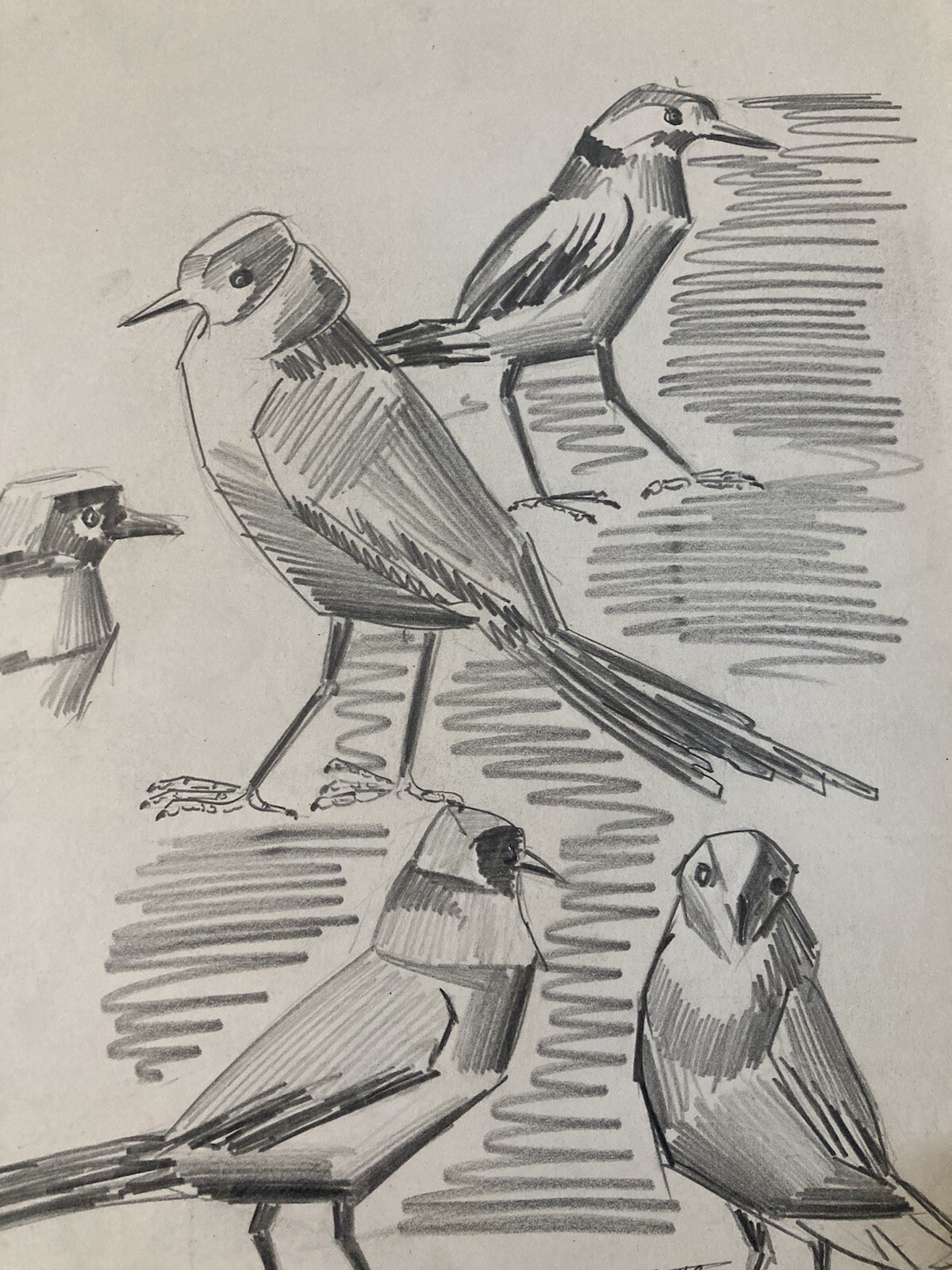 Beautiful Drawing 1950 Bird Lead Cubist Cubism Sparrows To Identify Art
