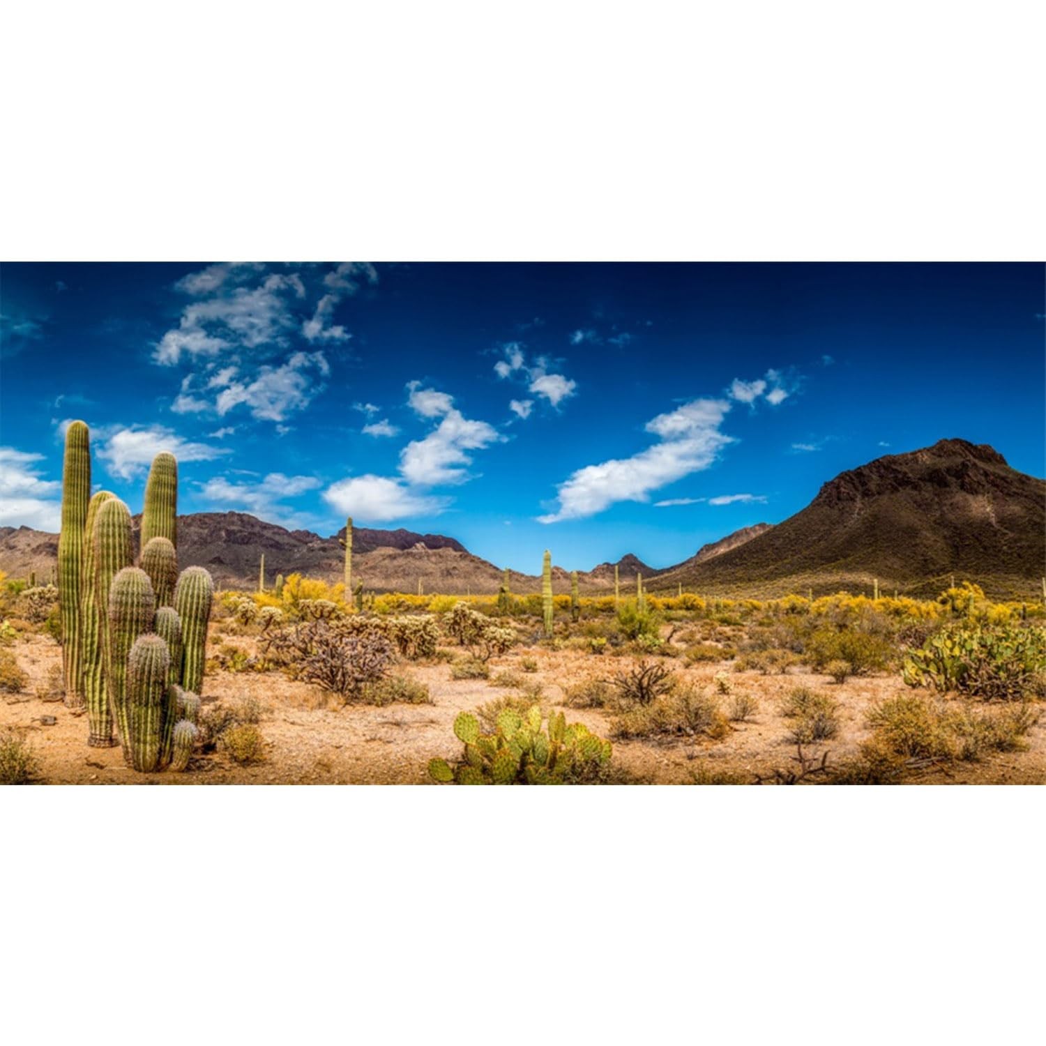 AWERT 36x18 inches Reptile Habitat Background Blue Sky Oasis 36x18in/90x45cm