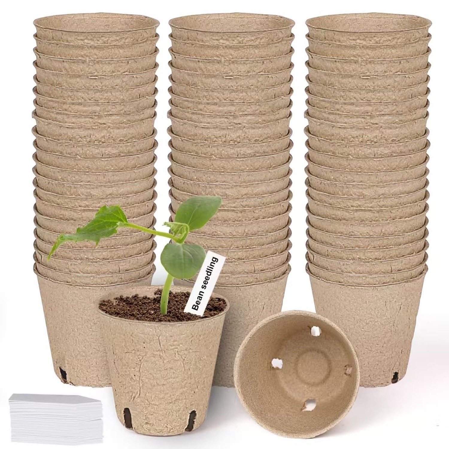 60 Packs 3.15 Inch Peat Pots,Biodegradable Pots for Seedlings with Drainage H...