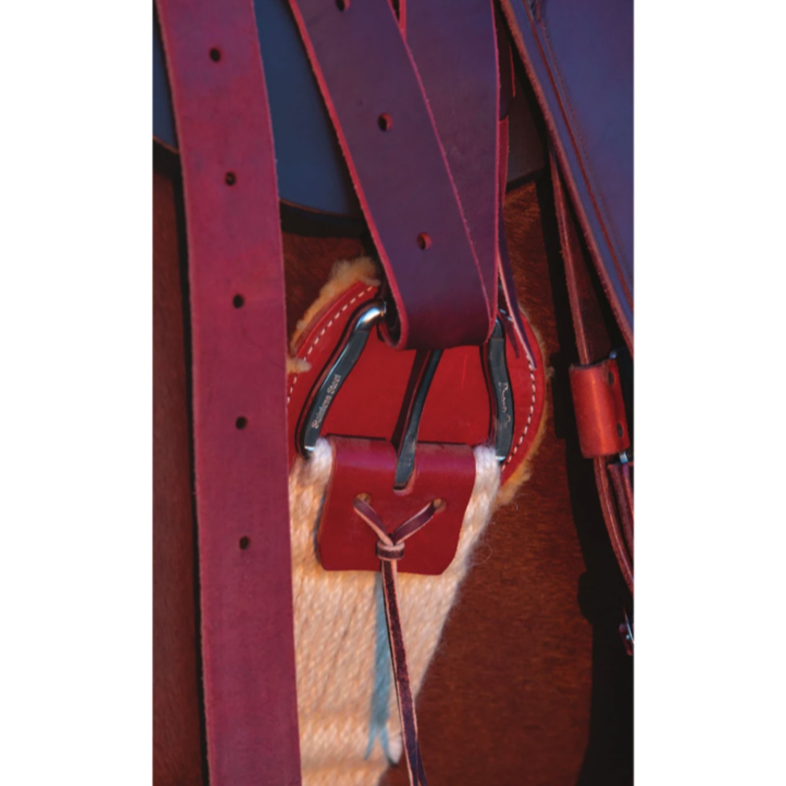 PROFESSIONAL'S CHOICE Leather Cinch Protector (CP100)