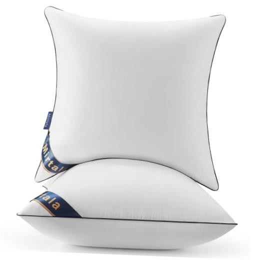 Mirtala 18"x18" Pillow Inserts Set of with 100% Cotton Cover 18 x 18-Inch 2