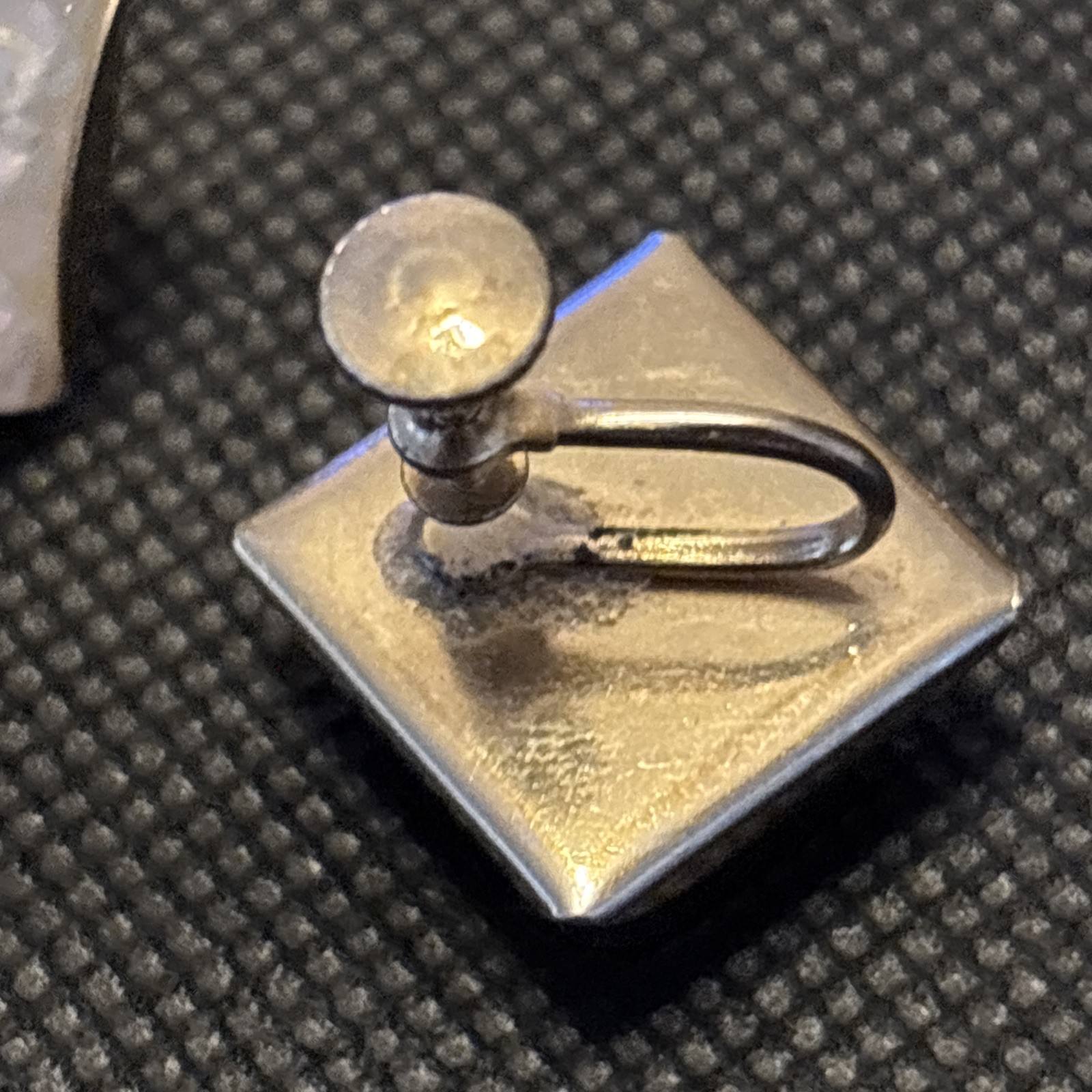Seahorse Encapsulated Screw-back Earrings