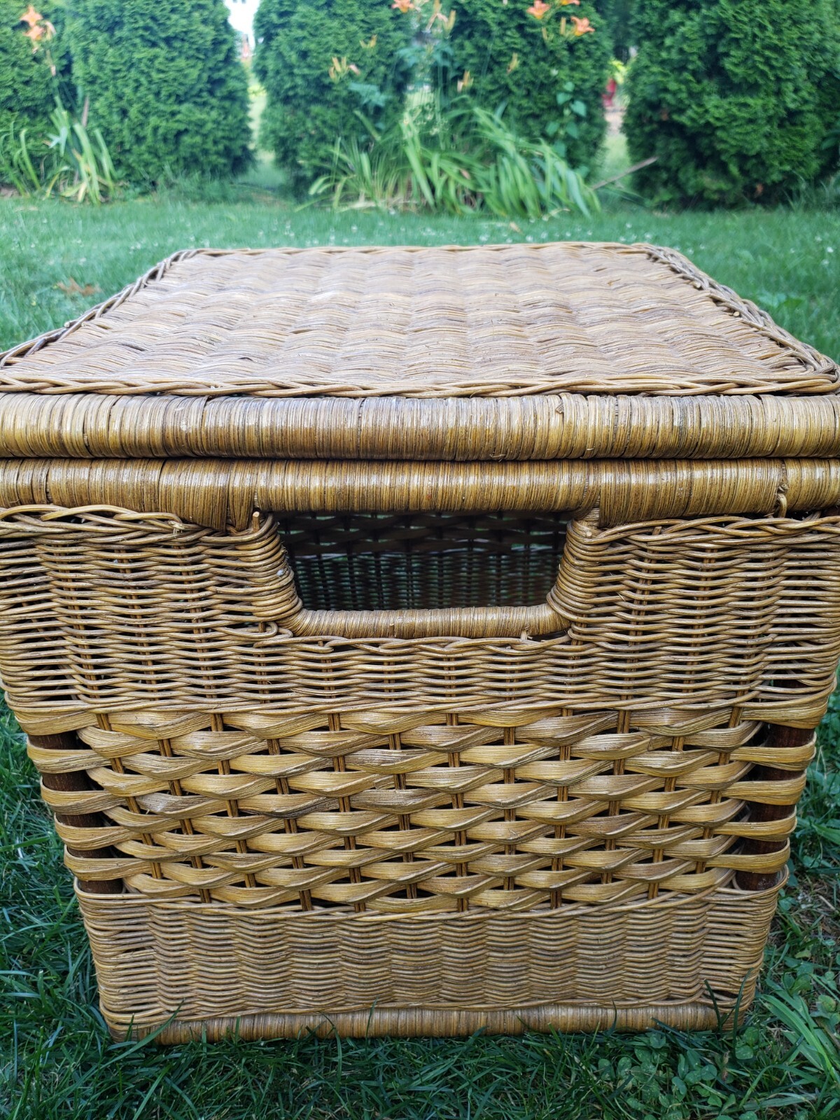 Vintage Rattan Wicker Chest/Table