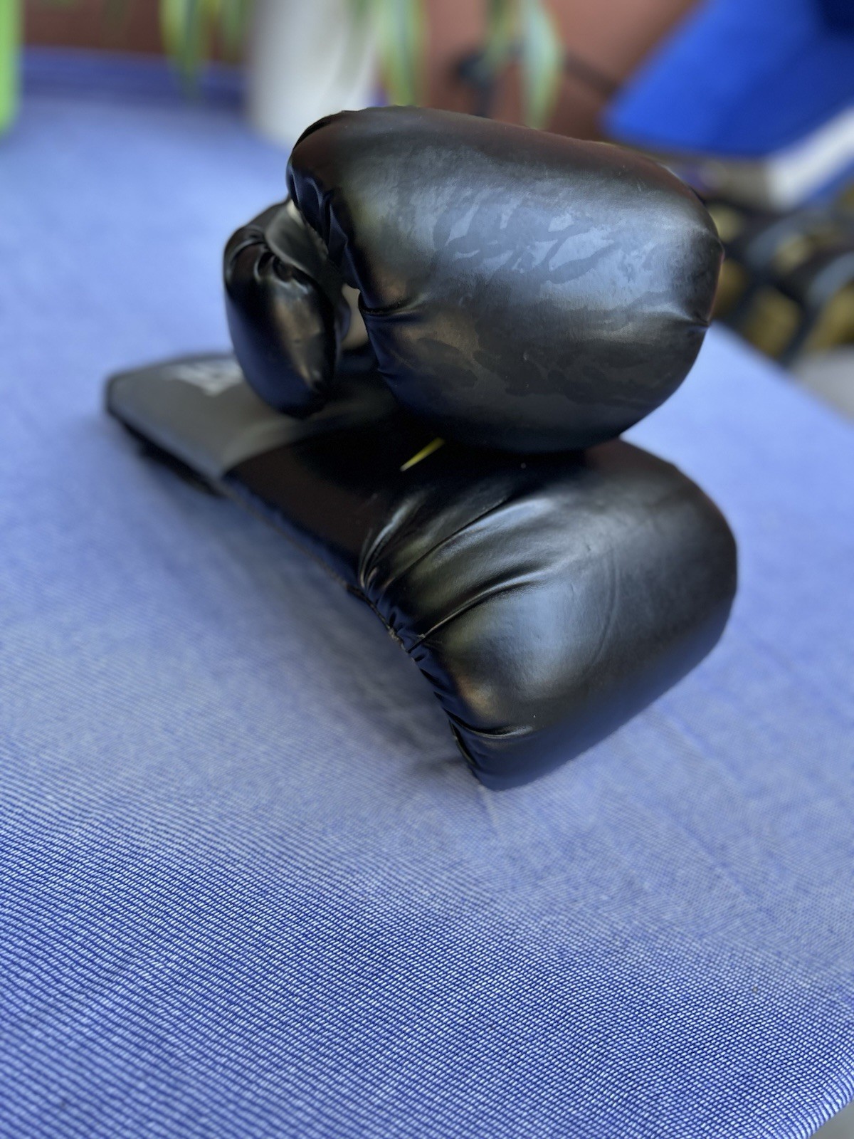 Everlast Training Boxing Gloves Pro Style Elite Evershield 16 Ounces Black Gray