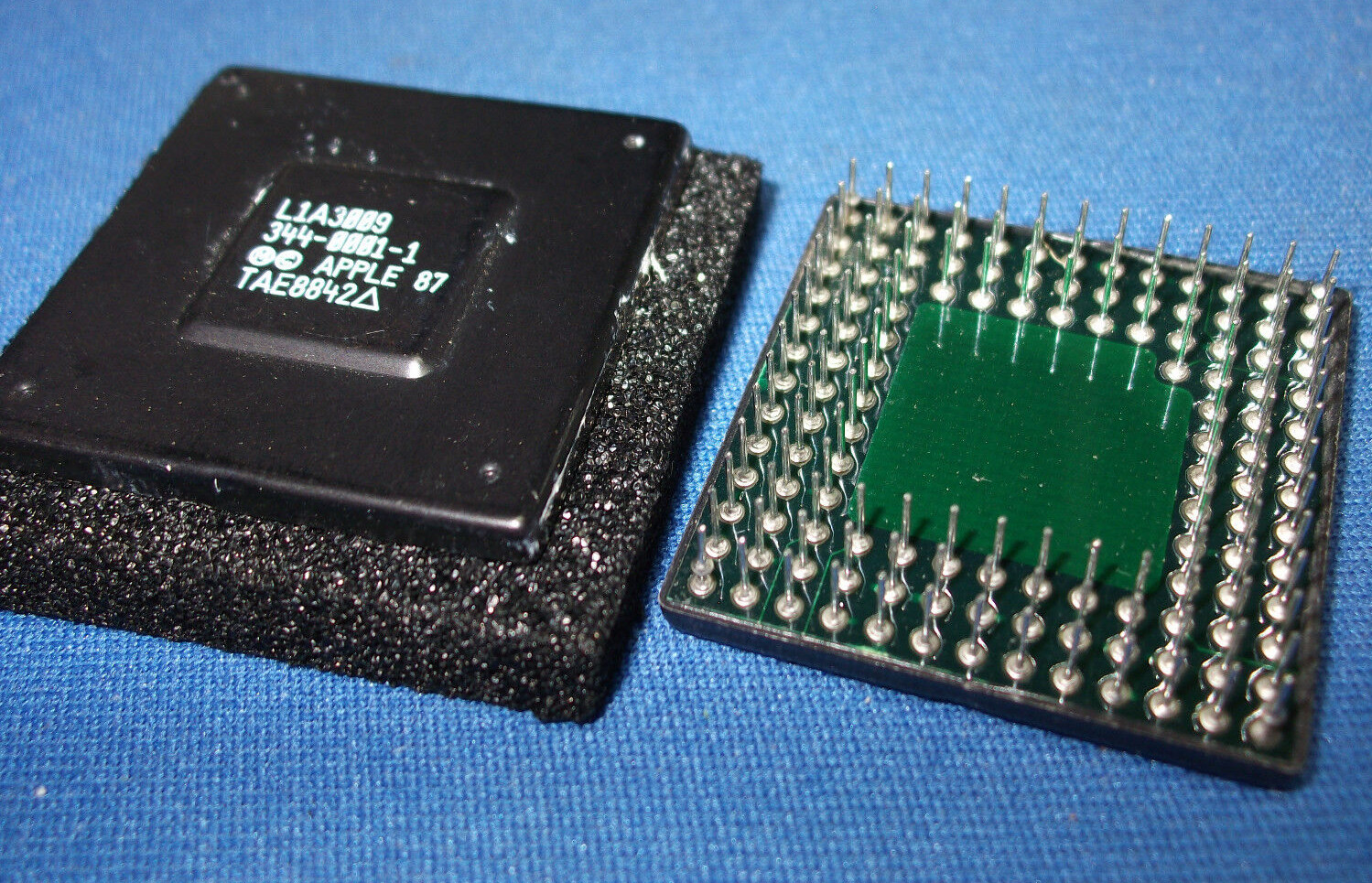 L1A3009 LSI LOGIC "APPLE" 344-0001-1 VINTAGE PGA L1A-3009 RARE COLLECTIBLE QTY-1