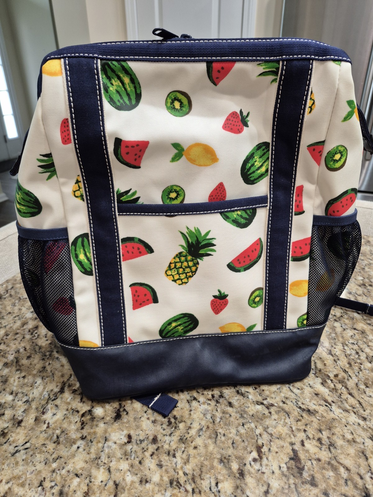 Lands' End Insulated Cooler Backpack Fruit Design
