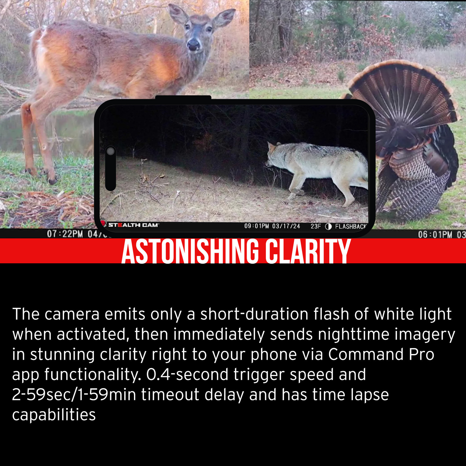 Stealth Cam Flashback White Flash Cellular Trail Camera 2-Pack Bundle