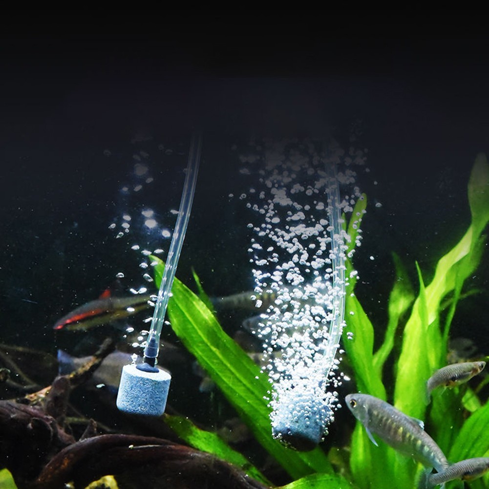 Essential Aquarium Oxygen for source Compact USB Silent Pump for Fish Care
