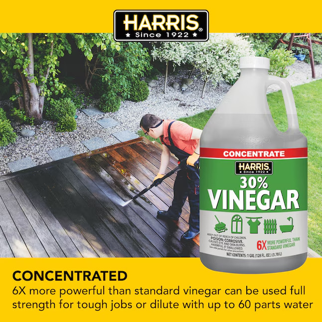 Harris 30% Concentrated Vinegar 1-Gallon Multi-Use All-Purpose Cleaning Solution