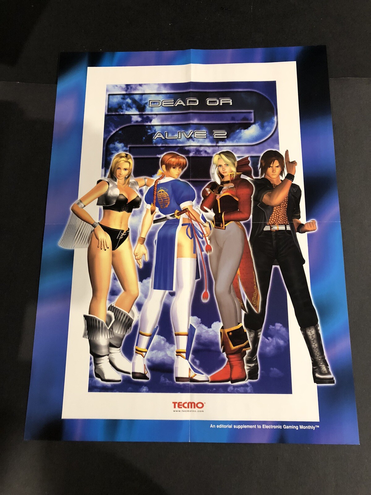 Dead Or Alive Strategy Guide Editorial Supplement
