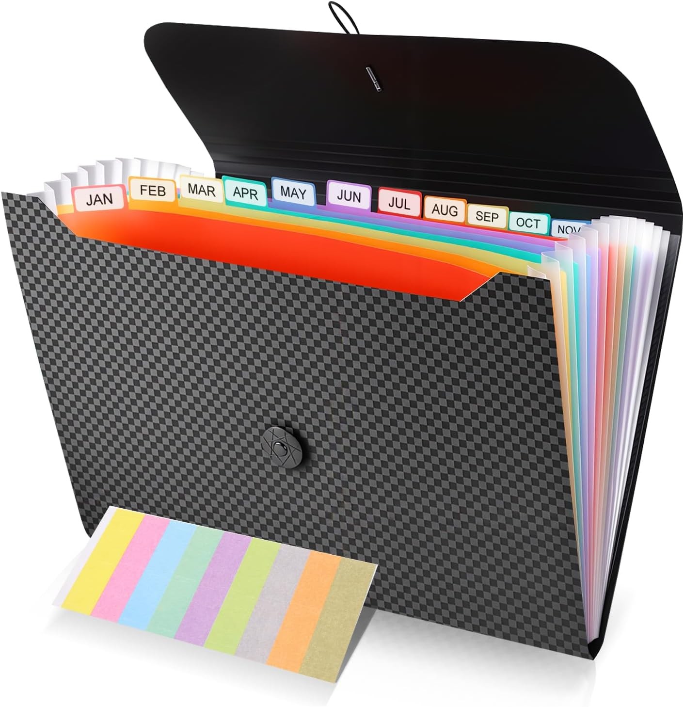 File Organizer, 13-Pocket Expanding Folder +Accordian Folder | Great for Home,