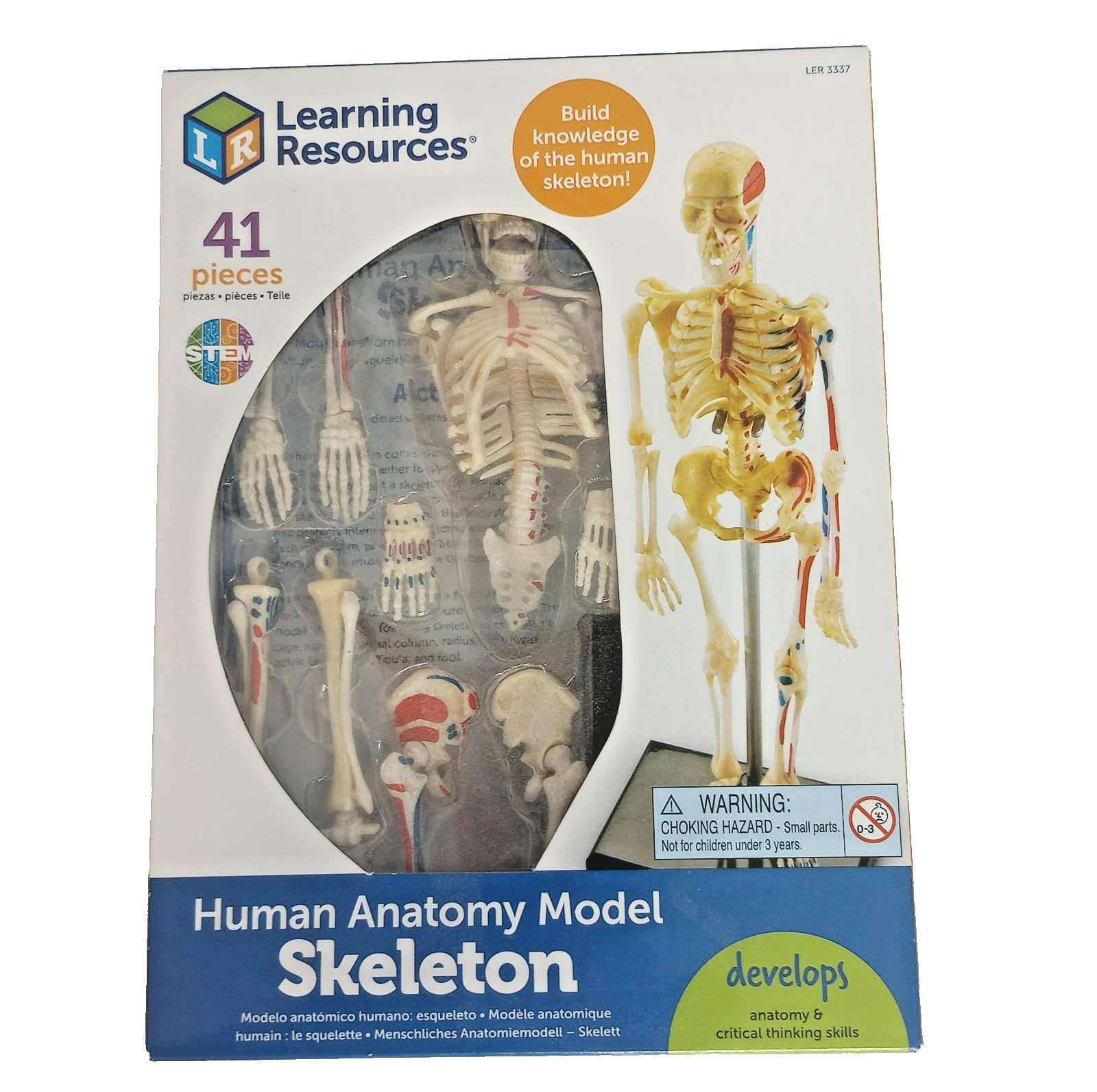 Learning Resources Human Anatomy Skeleton Model Kit LER 3337 STEM 41 Pcs