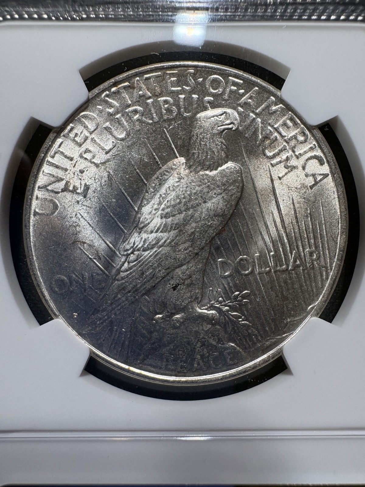 1923-D Peace Dollar NGC MS62 Silver Dollar Coin