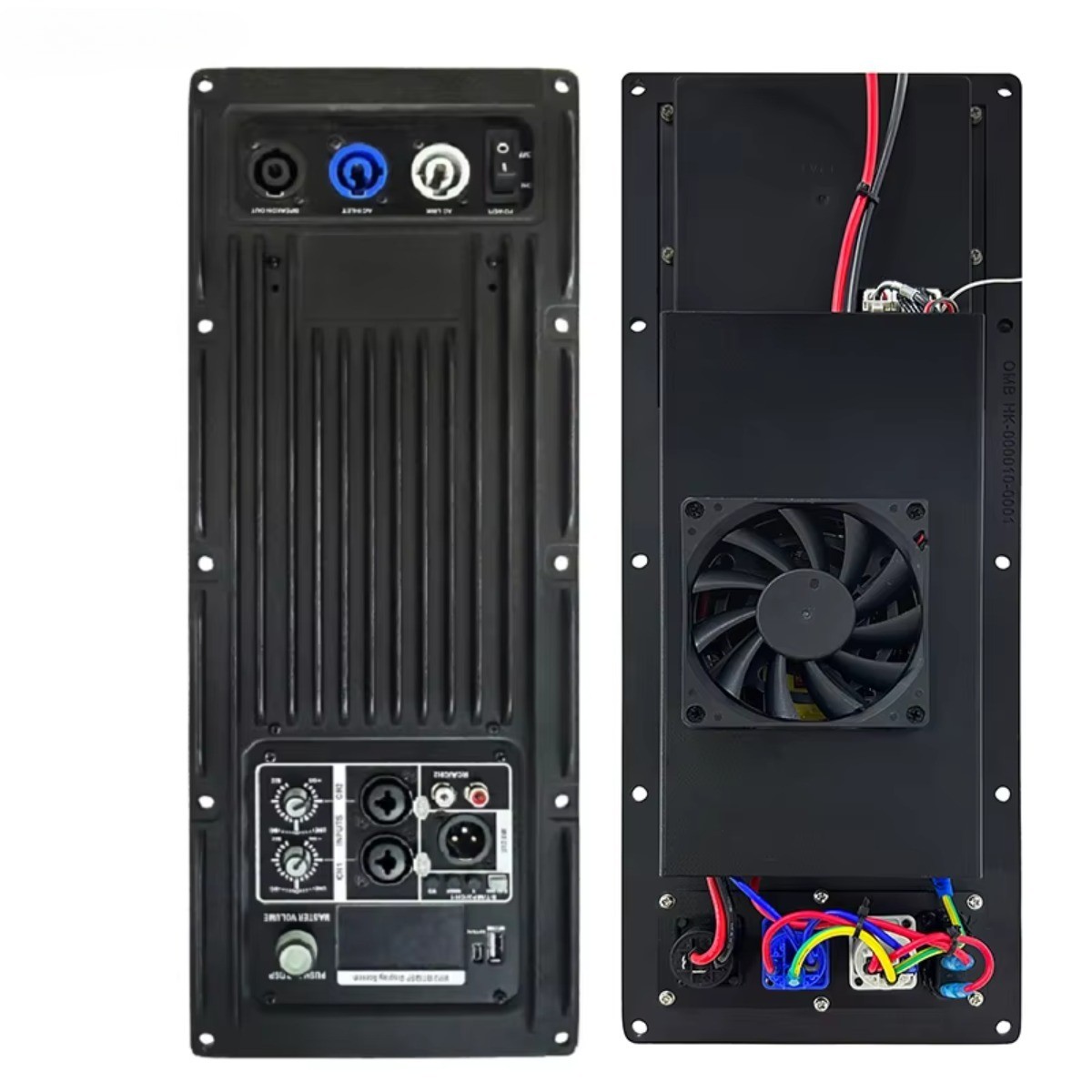 Powerful DSP Class D Subwoofer Power Amplifier Module Board 1300W Output
