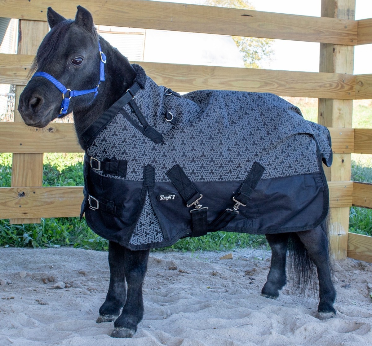 Miniature Horse Heavy Winter Turnout Blanket - 1200D - 36"-51" - Reflective