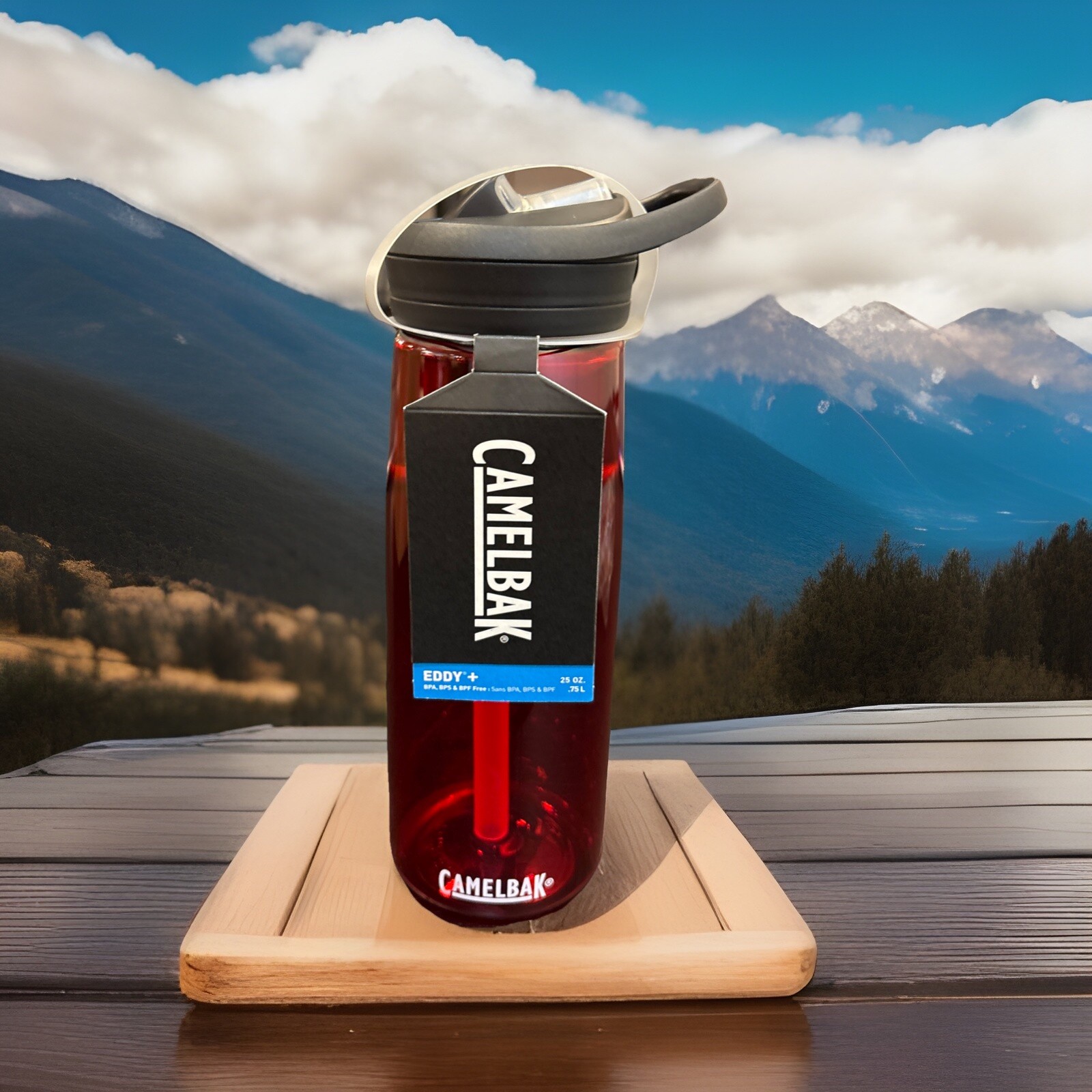 Camelbak Eddy+ 25oz Tritan Water Bottle - Red