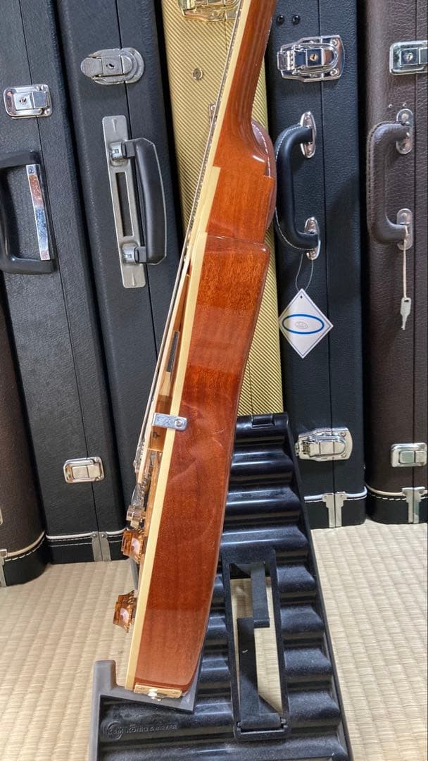 Bacchus Bls-Fm2 Around 2017 Order Model