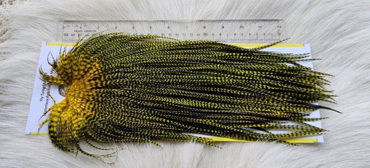Saddle Hackle. SLS; Rooster Full Saddle,, Color; Grizzly/Yellow. Free Shipping.