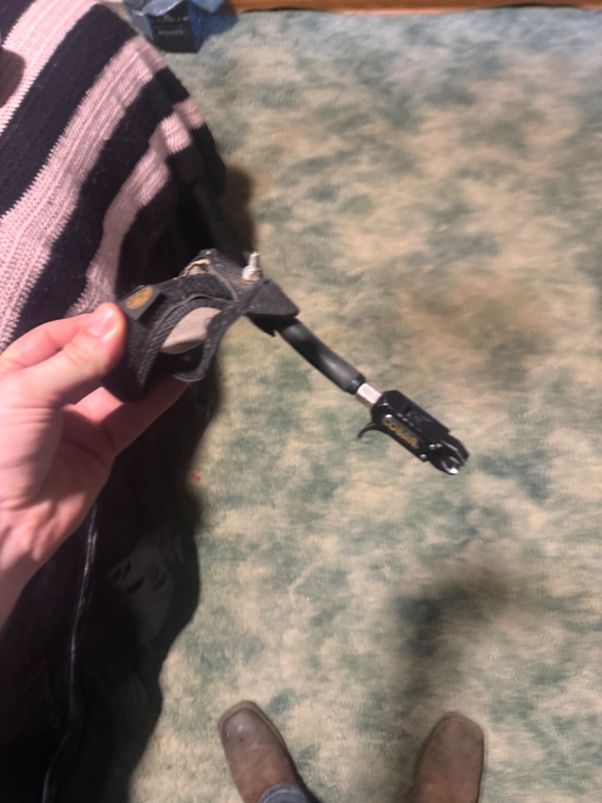 compound bows for hunting