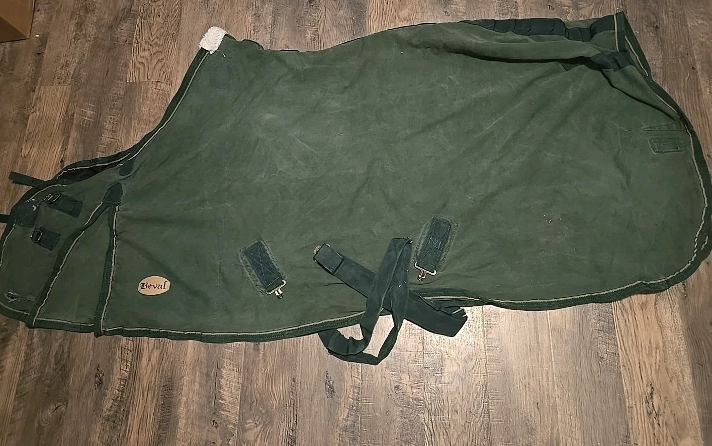 horse blanket 82