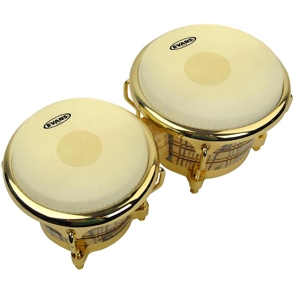 Evans TriCenter Bongo Head Combo Pack