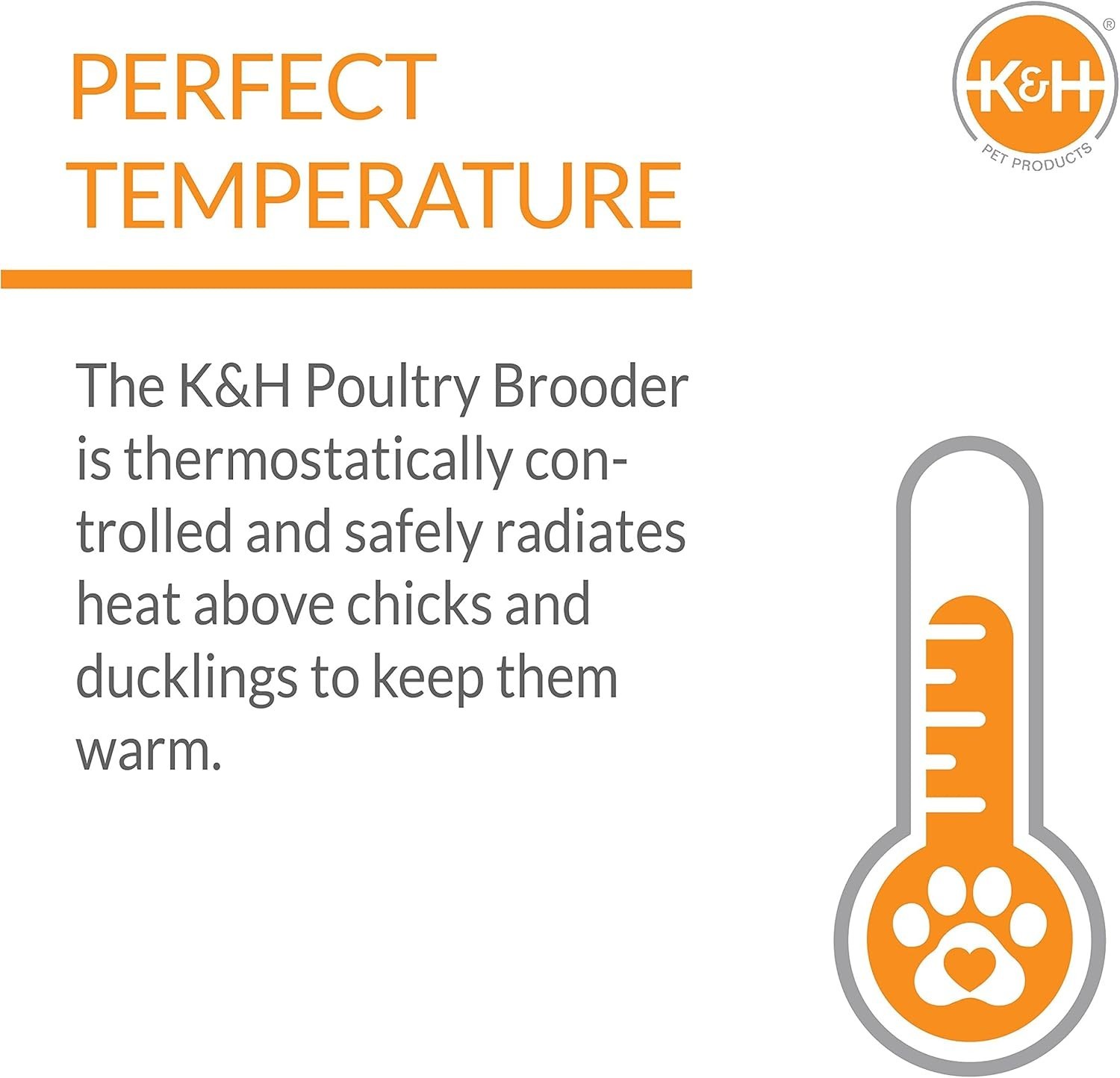 Effortless Assembly Chicken Brooder Heater: Adjustable for 30 Chicks - 40 Watts