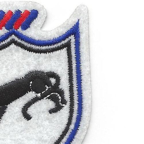 505th Airborne Infantry Regiment Patch Ready