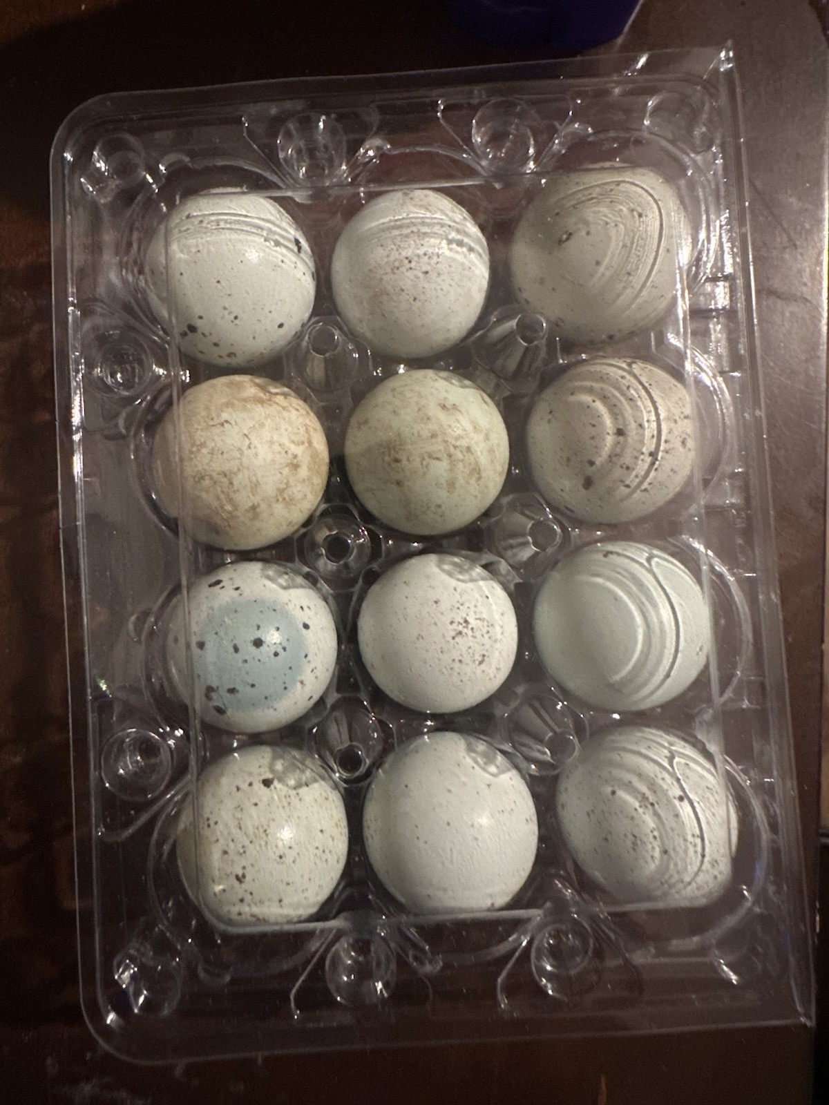 12 Celadon Quail Hatching Eggs Celadon Quail Eggs Fresh