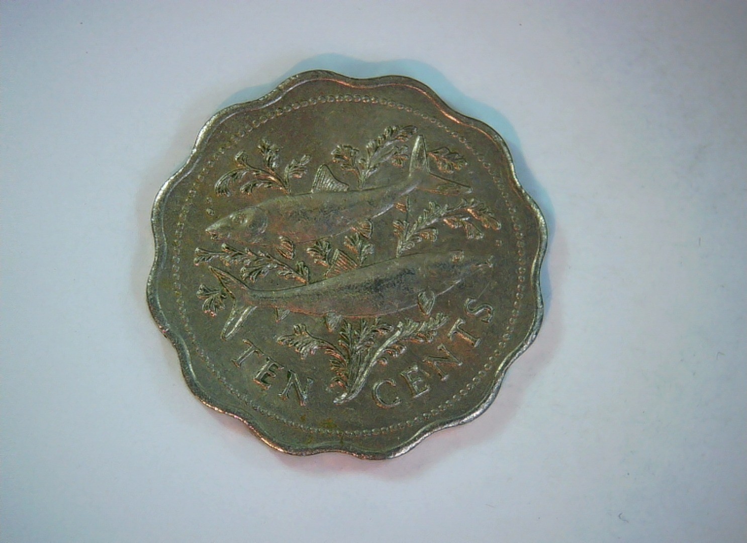 Bahamas 1975 10 Cents Bahamas scalloped 10 Cents (bonefish) Coin