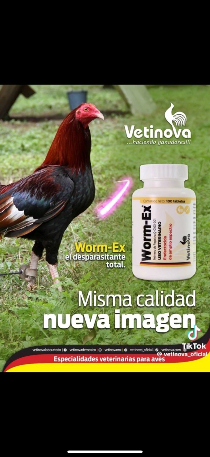 Worm-Ex  Desparasitante (dewormer) 100 Caps.