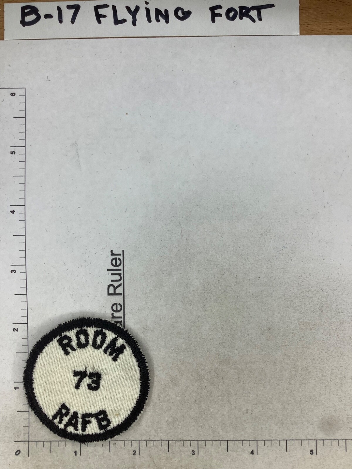 VINTAGE USAF ROOM 73 RAFB PATCH
