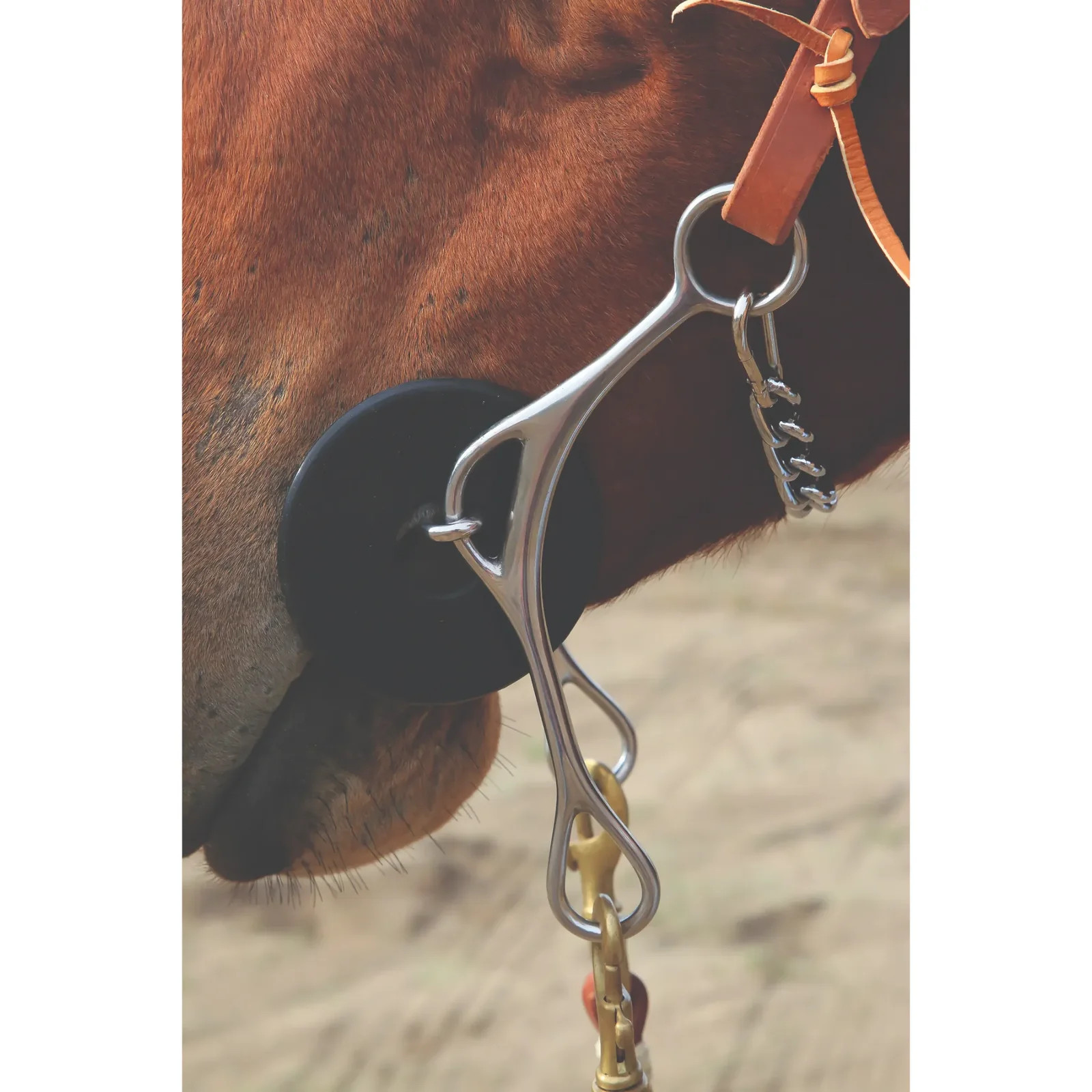 Professional's Choice Brittany 8” Shank Twist Gag Horse Bit - Medium Twist
