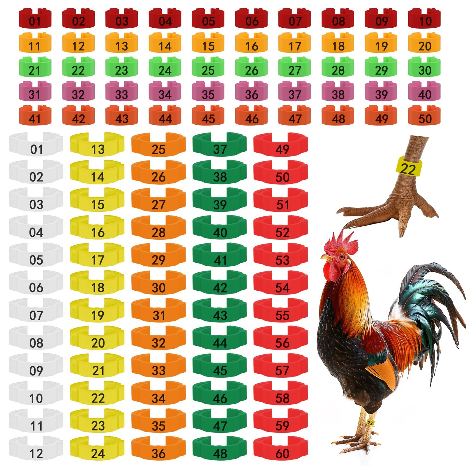 110 Pcs Chicken Leg Rings, 60P 16mm Adjustable Chicken Tags and 50P 8mm Chick...