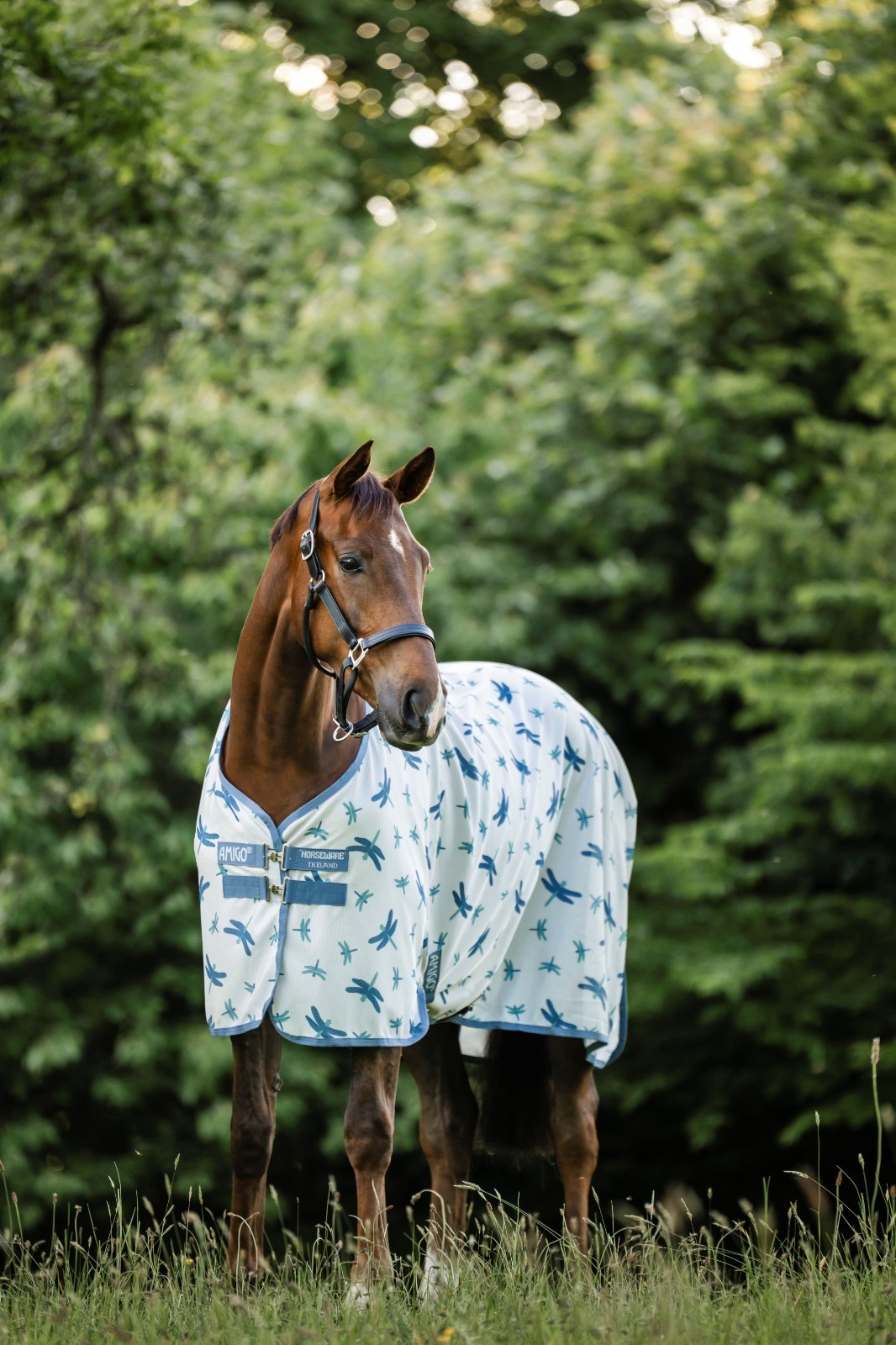 Horseware Amigo Bug Rug Fly Sheet - No Hood