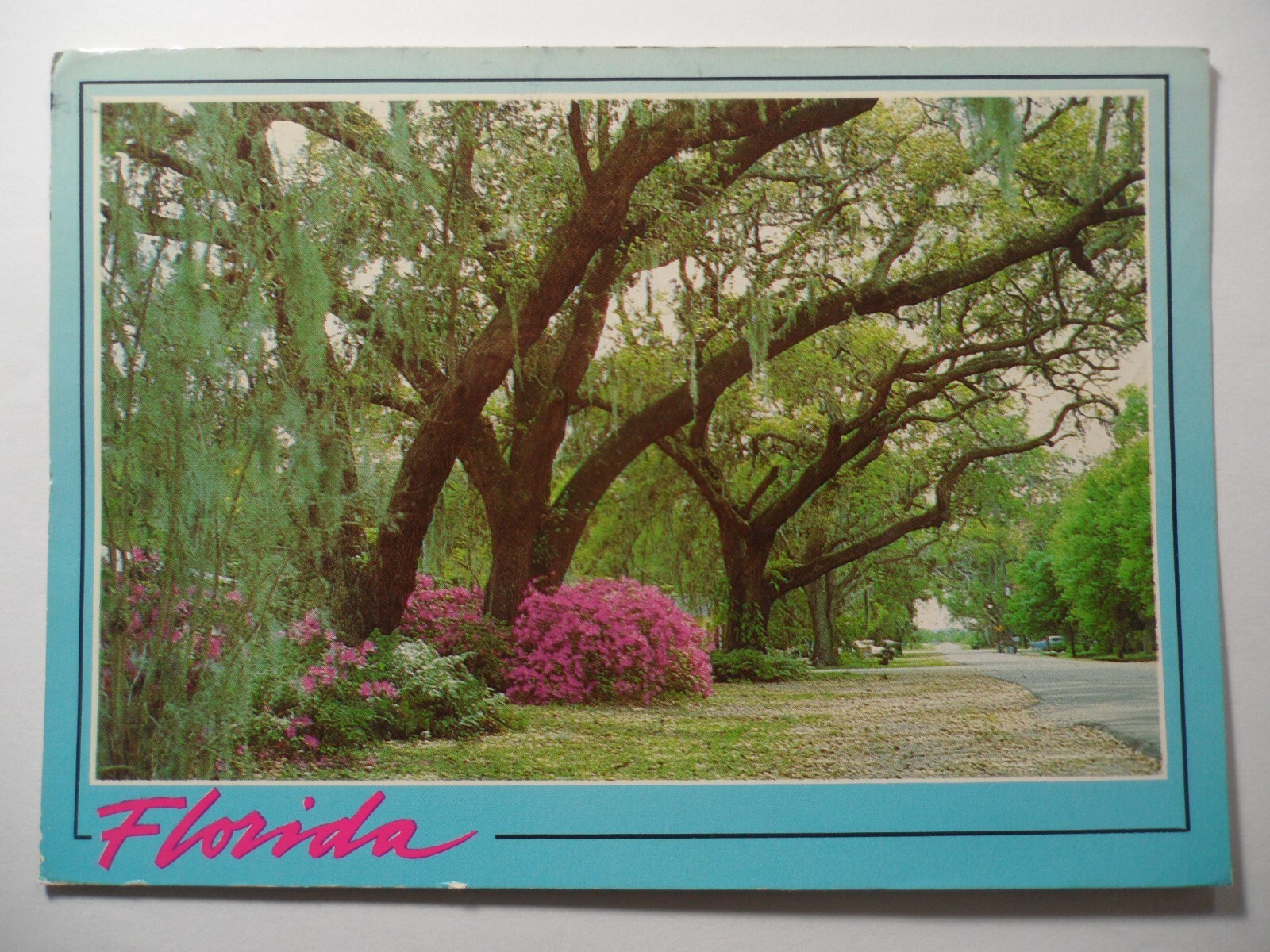 STAMPMART : USA FLORIDA - BEAUTIFUL ROADWAYS POSTCARD USED TO ONTARIO CANADA