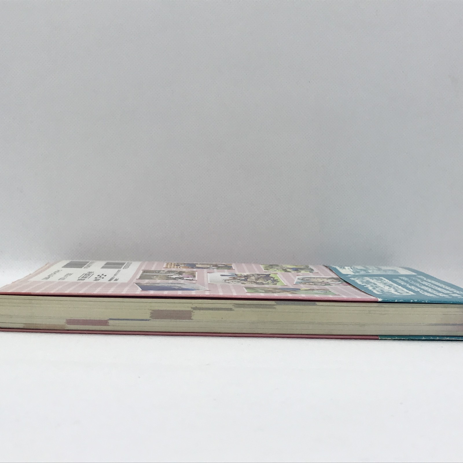 Bokujo Monogatari Harvest Moon Professional Guide Book 2000 PlayStation PS1