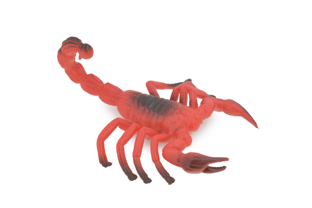 Scorpion, Red Black Big Solid Rubber Bug, Toy, Realistic Figure 5" ABC14 B263