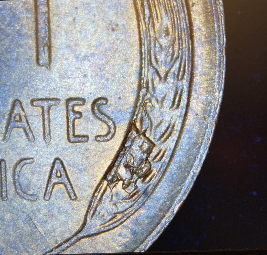 1953 Lincoln Wheat Cent - MINT ERRORS Die Crack & Die Chips Reverse & Obverse 🔥