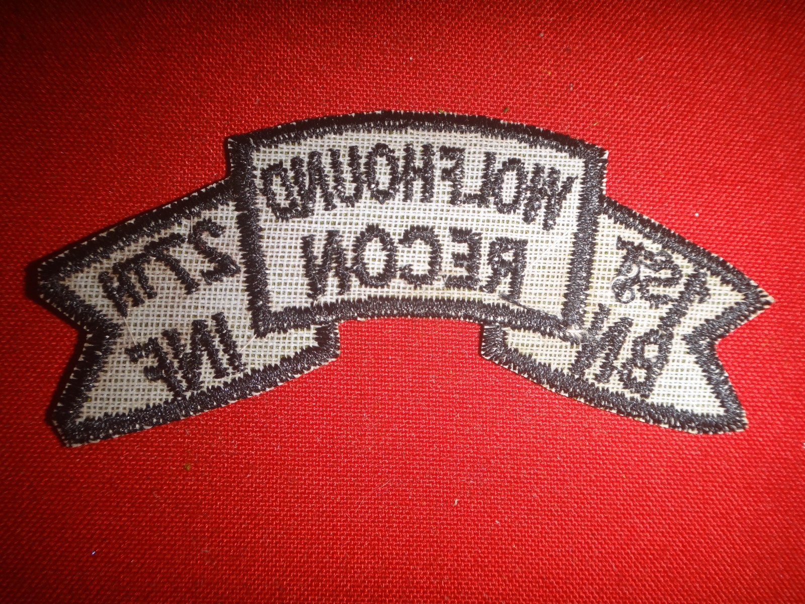 US 1st Battalion 27th Infantry WOLFHOUND RECON Vietnam War Subdued Scroll Patch