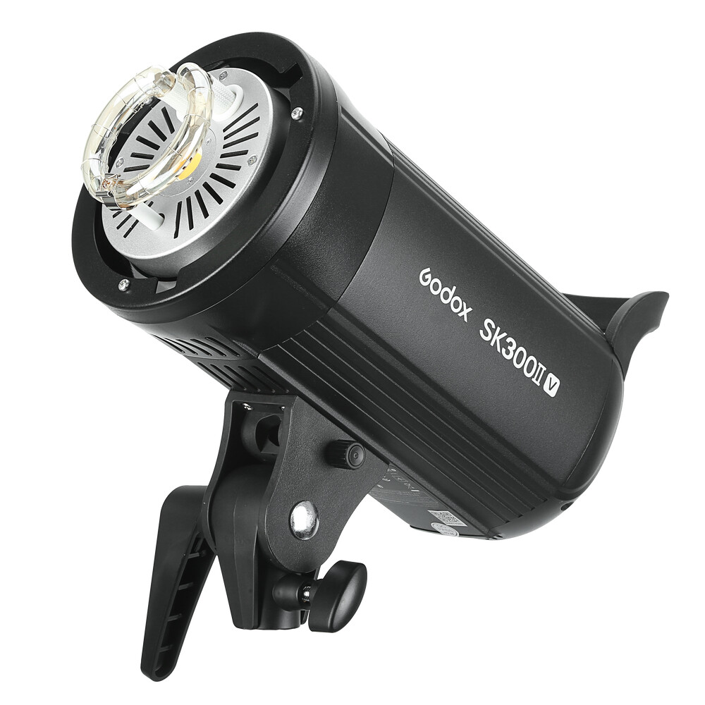 Godox SK300II-V Studio Strobe Flash with Reflector+60*90cm Grid Softbox+2M Stand