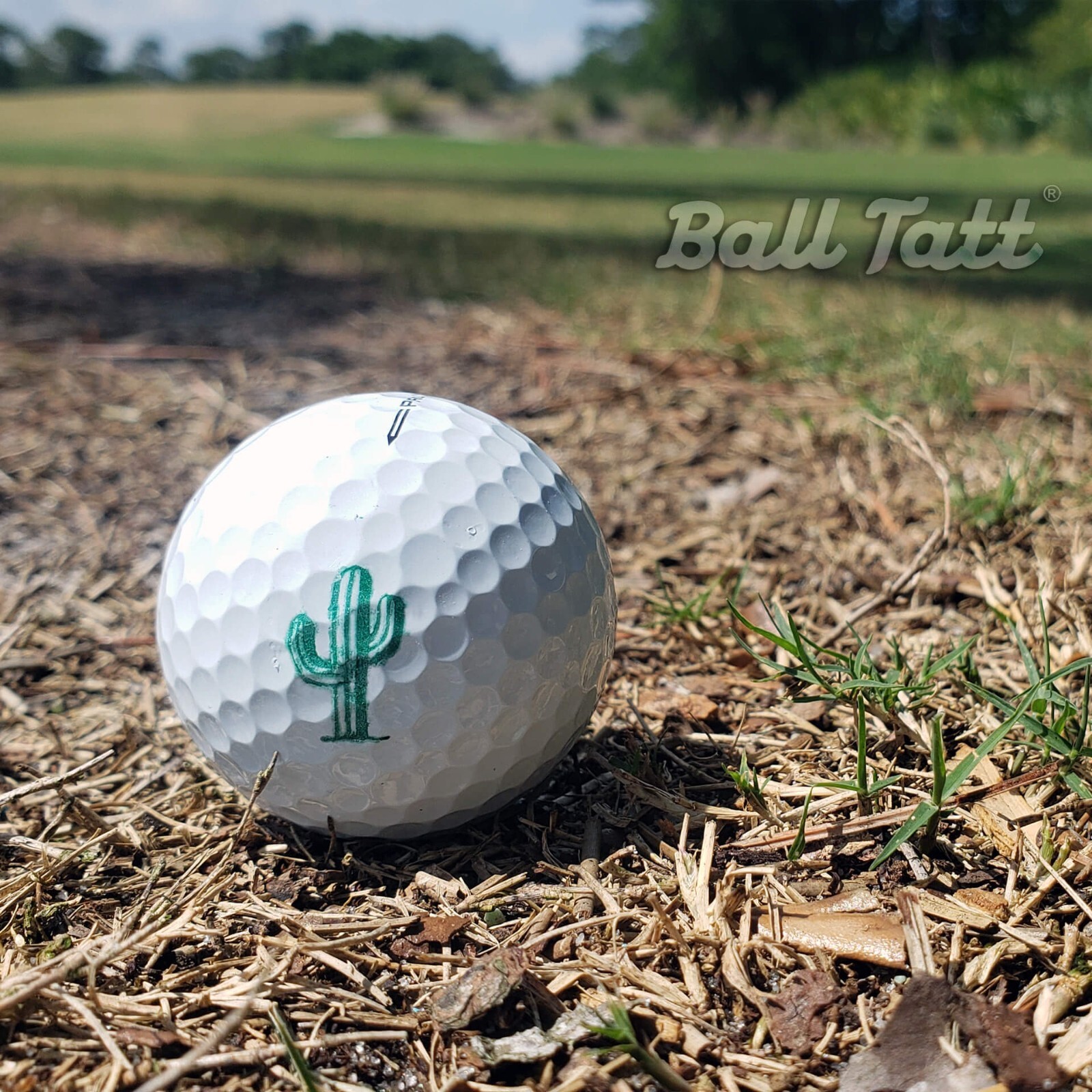 BALL TATT - Cactus Golf Ball Stamp Marker Quick Dry Stamper Self-Inking.