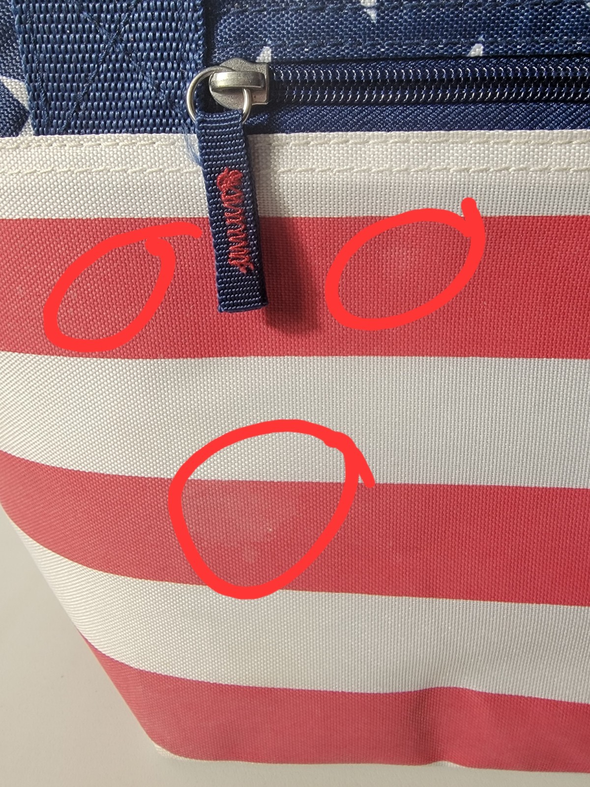 Igloo Bag Cooler NWT