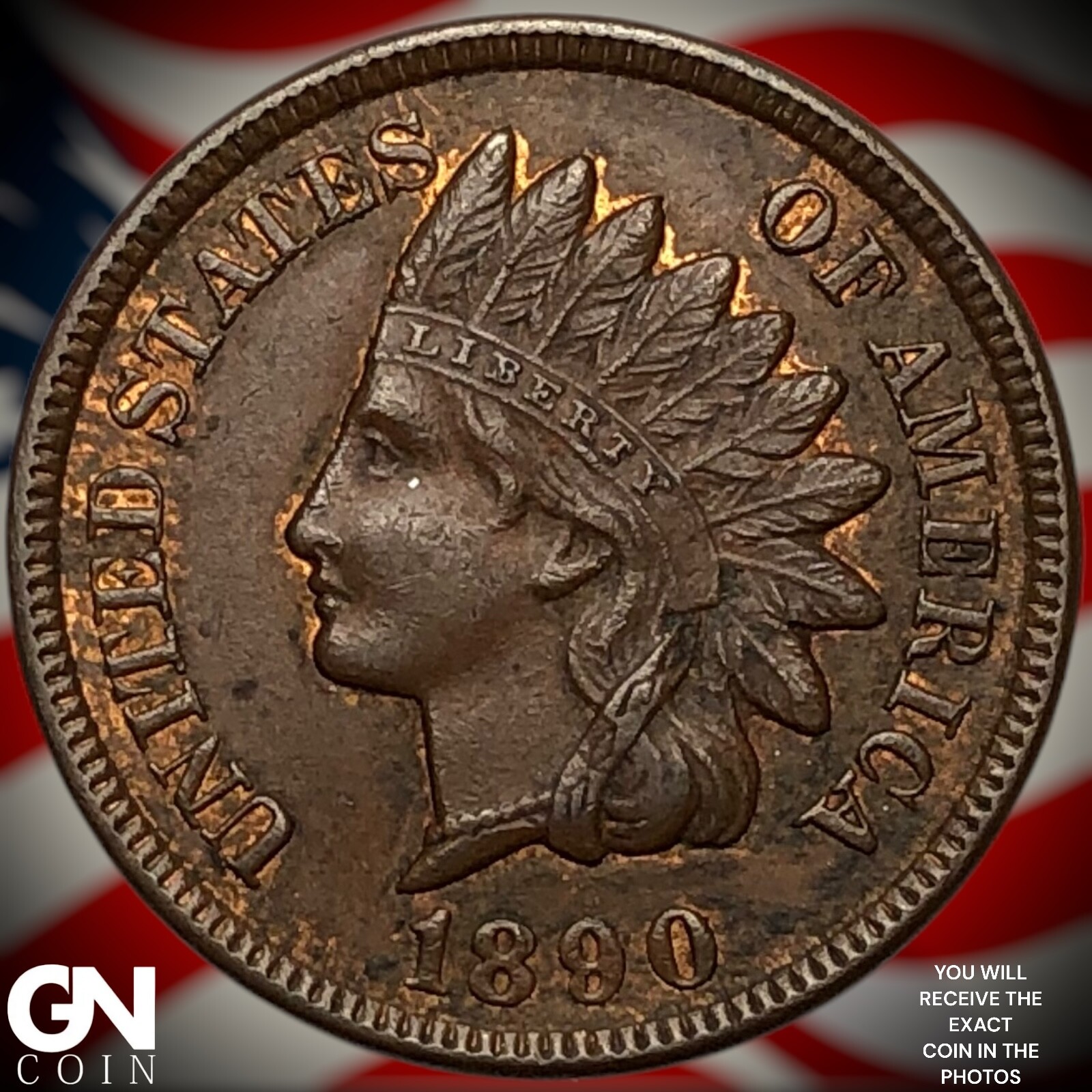 1890 Indian Head Cent Penny Y7951